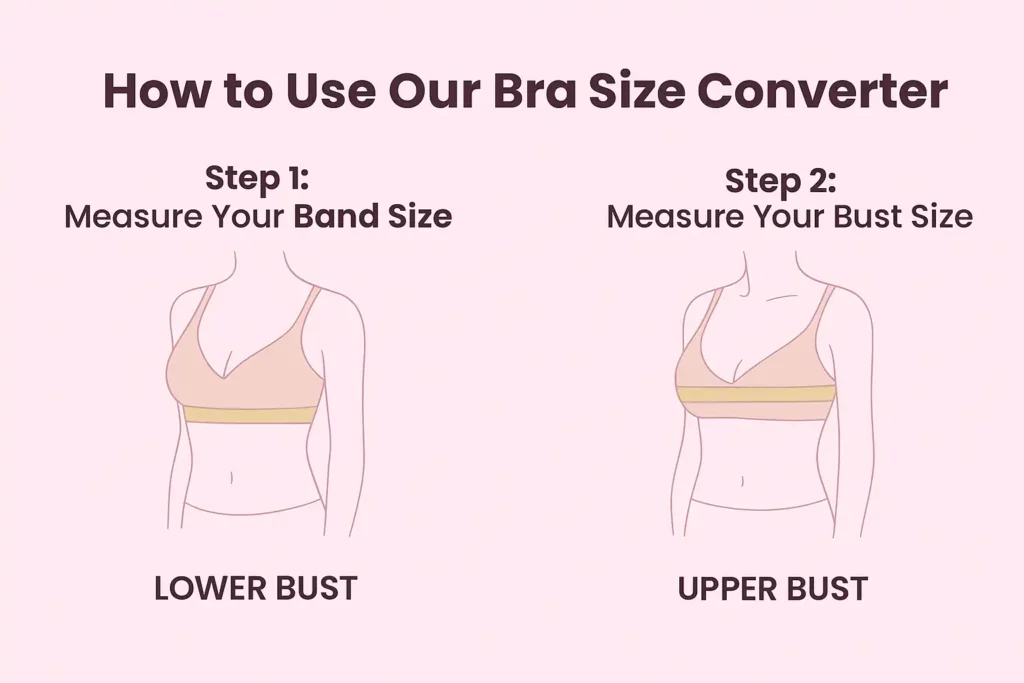 Illustration showing how to measure bust and band for accurate bra size converter results.